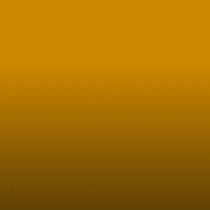 Meet your Posher, Mia